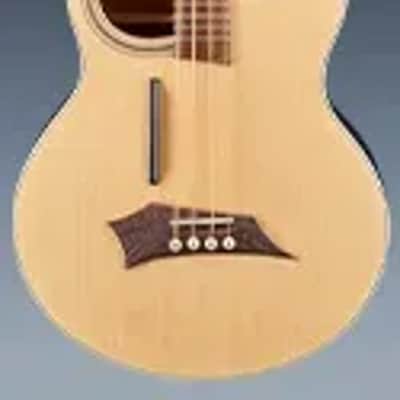Warwick RockBass Alien Standard-4 String - Natural Transparent Satin image 5