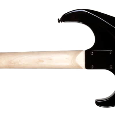 Washburn PXS160B Parallaxe S160 Double Cut Solid Body Hard Rock Maple Neck 6-String Electric Guitar image 3