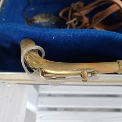 Artist Alto Sax Artist image 19