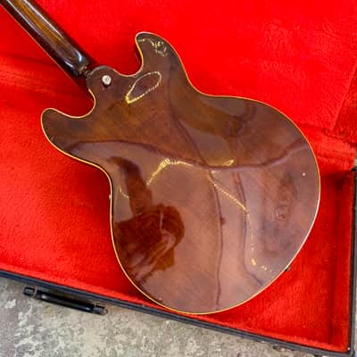 Greco SV-600 Super View 1979 - Walnut original vintage MIJ Japan