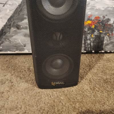 Infinity Infinity SAT 1100 speaker 1 speaker image 2