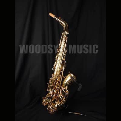 Yanagisawa AWO10 Elite Model Alto Saxophone - Lacquered Brass image 1