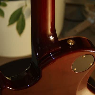 PRS SC 245  Artist image 3