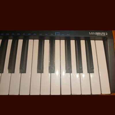 Arturia MiniBrute 2 Noir Edition 25-Key Synthesizer 2022 - Present - Black image 5
