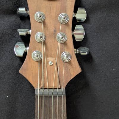 Ashby instruments guitar 2025 image 2