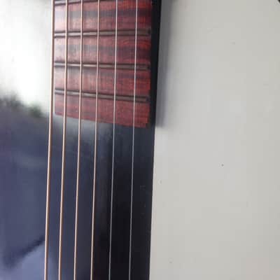 Silvertone 658 Archtop Acoustic 1966 Back And White image 10