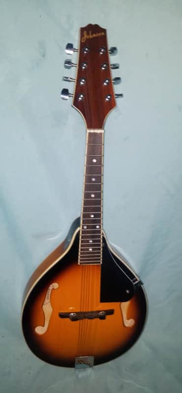 Johnson Oval Hole Acoustic Model MA-100 Needs New Strings and Tailpiece Cover image 1