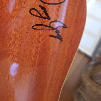 Zager ZAD-50 VS 2008 Sunburst image 7