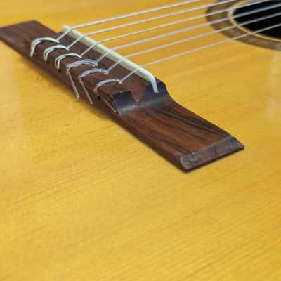 1960s Giannini GN50 Parlour Classical, Brazillian Rosewood, Mahogany image 15