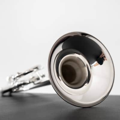 Yamaha YTR-8445IIS Xeno C Trumpet (SN 5751xx) image 11