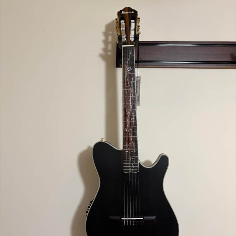 Ibanez TOD10N Tim Henson Signature 2022 - Present - Transparent Black Flat image 1