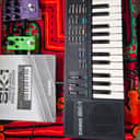 Casio SK-1 32-Key Sampling Keyboard 1986 - Black