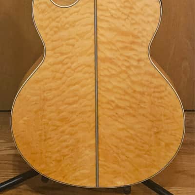 Washburn Festival Series EA20SDL with Chorus Cutaway image 4