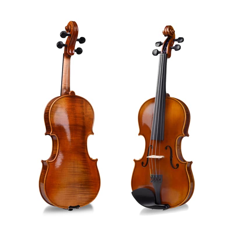 Aileen PREMIUM BEGINNER Series Violin Outfit - 4/4 Full Size Solid Wood Ebony Fitted image 1