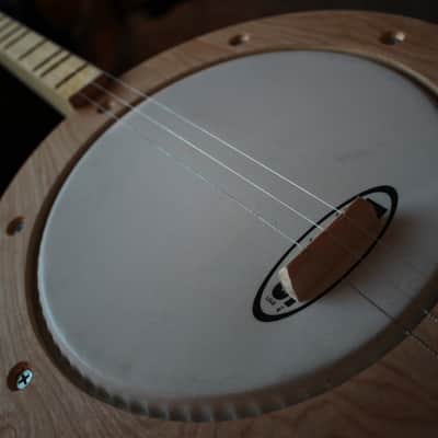 Smokey Mountain Banjo Dulcimer/ Strum Stick image 2