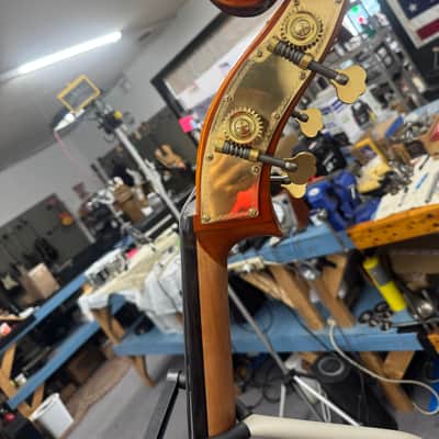 Eastman Strings. 3/4 Upright Bass. Concert Model.(Paige's)(2023)(Outfit) image 4