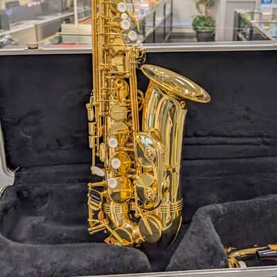 Alpine Woodwinds AAS143 2010's Alto Saxophone with Case - Gold image 7