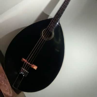 Gibson "Style-J" Mando-bass  1919. With Original Canvas Bag and "Orientation" Pegs! image 3