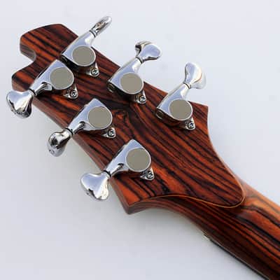 Alejandro Ramirez o3 Iodine Semi-Hollow image 7