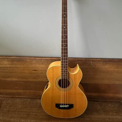 Washburn Vantage Late 80s Early 90s - Natural image 1
