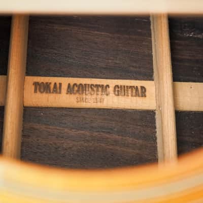 1984 Tokai Cats Eyes TCM-50V Vintage Herringbone Dreadnought Acoustic Guitar w/ Case, Japan image 7