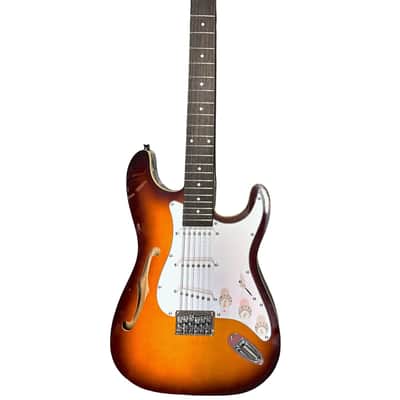 Cozart 12-String S-Type Semi-Hollow Custom Handmade Electric Guitar image 1