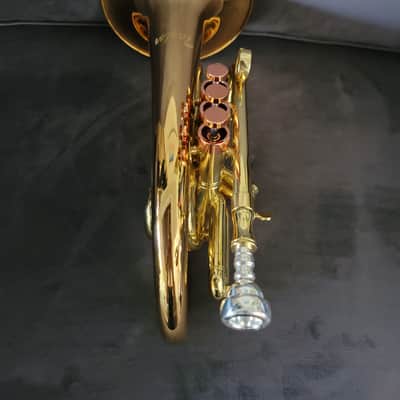 CarolBrass Pocket Flugelhorn / Taylor Phat Puppy 2024 - Polished / Lacquered image 15