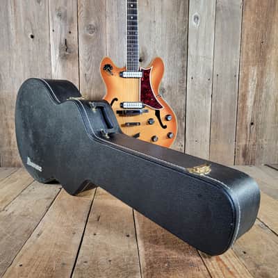 Eko Barracuda 290 1963 Excellent w/ Ibanez Hard Case - Amber Sunburst image 17