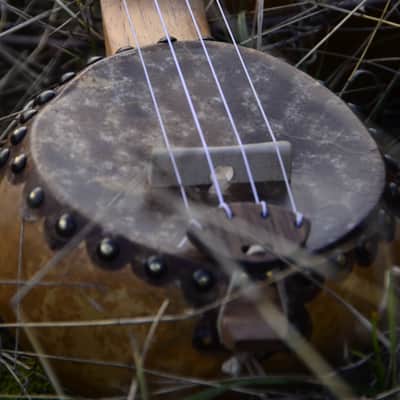 Waiz Gourd Ukulele 2022 image 6