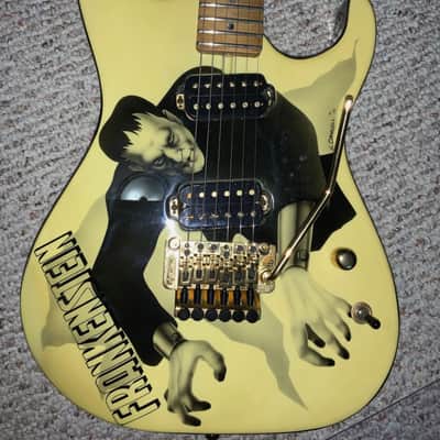 WASHBURN STEVE STEPHENS SIGNATURE SERIES electric guitars