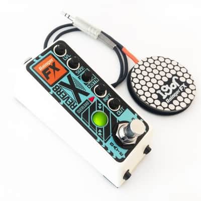 RAINGER FX REVERB-X DIGITAL REVERB & IGOR MINI PEDAL : BRAND NEW :  [DETROIT MODULAR] image 2