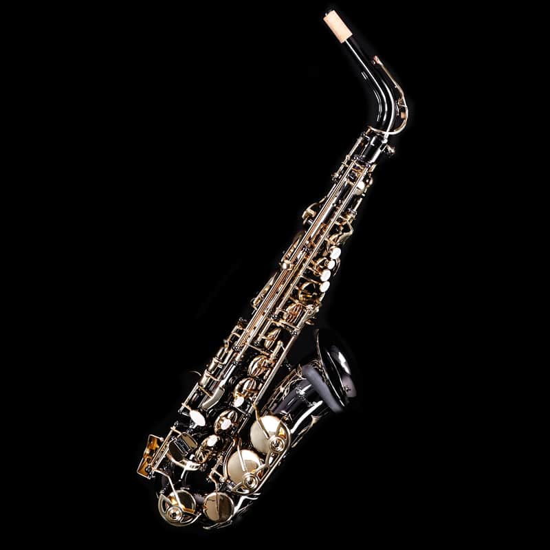Selmer SAS511B Intermediate Alto Saxophone, Black Nickel image 1