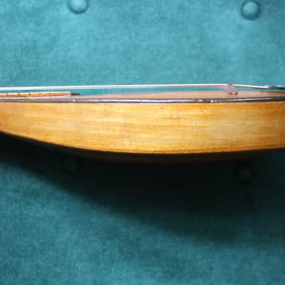 Holdrio Piccolo Mandolin circa 1930 image 10