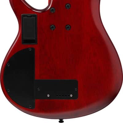 Ibanez SR Bass Workshop 5 String Electric Bass - Fretless - Brown Topaz Burst Low Gloss (SRD905FBTL) image 6