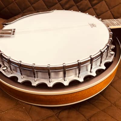 Washburn B10 Americana Series Remo Top Wood Mahogany Neck 5-String Banjo w/Mahogany Resonator image 13