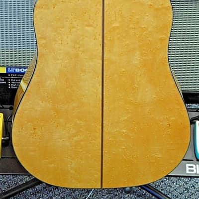 Washburn D-30S Southern Jumbo Acoustic Guitar Birds Eye Maple! image 4