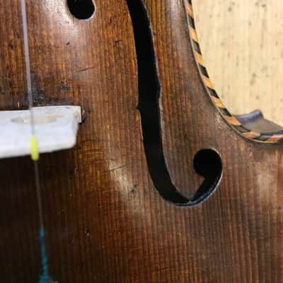 Antique violin Labelled "Jacob Stainer" Lionhead circa 1890 image 4