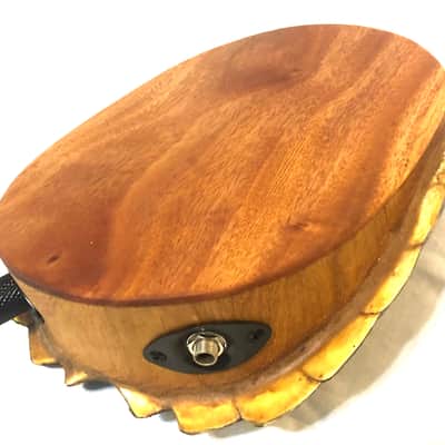 Electric turtle shell space drum image 2