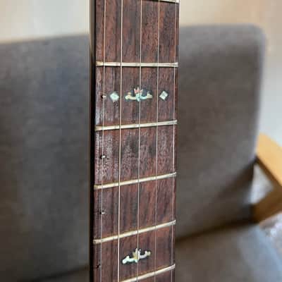 Orpheum No.1 Little wonder mandolin-banjo to five string conversion 1920s image 10