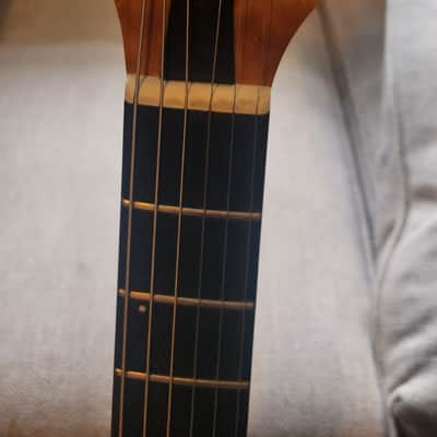 Godin LGX-SA QMTAMB image 6