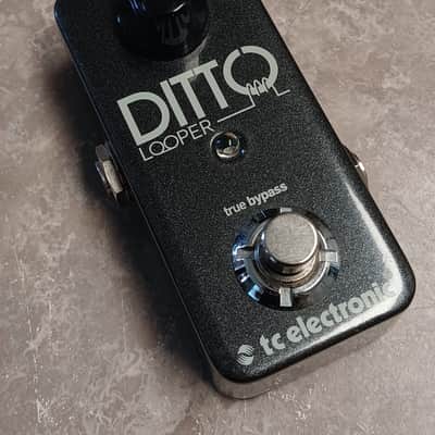 TC Electronic Ditto Looper Bild 1