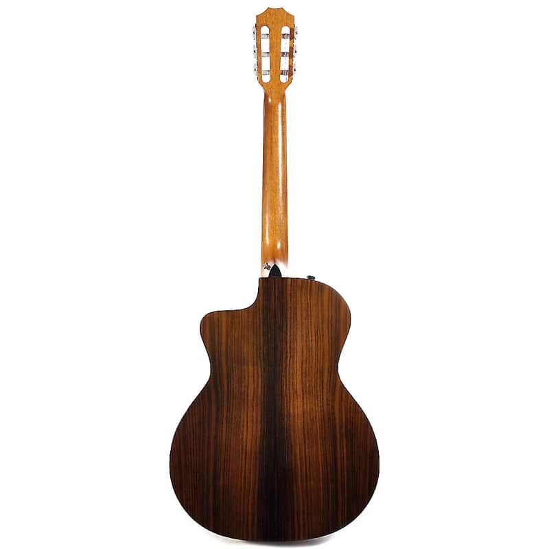 Taylor NS24ce image 2