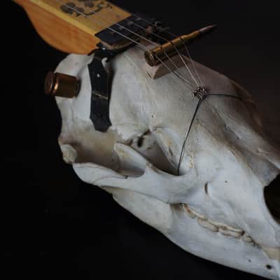 4 string cigarbox style bear skull guitar Spirit image 4