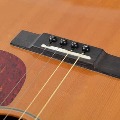 2008 GOLDTONE TG-18 TENOR GUITAR image 11
