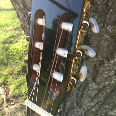 Jose Ramirez R1 Classical Guitar - Solid Cedar Top image 4