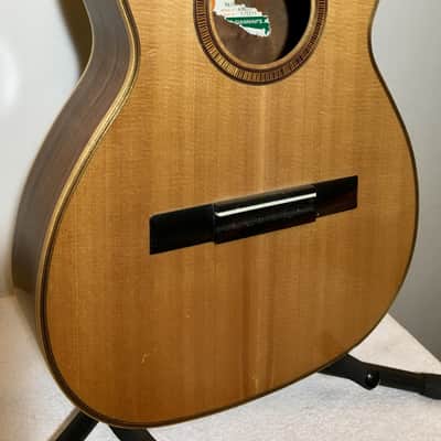 Vintage GIANNINI AWN50 Serial # 1/1111 Classical Guitar Made in Brazil image 4