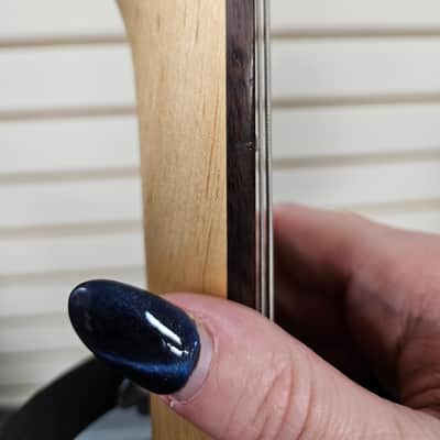Washburn X-Series 2000's - Metallic Black image 11