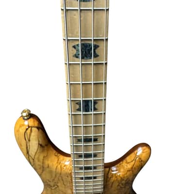 Spector USA NS-2, Chestnut Super Natural (Gloss Finish) / Birdseye Maple / 1.64" Nut 8.9 LBS *On Order, ETA Jan. 2027 image 6