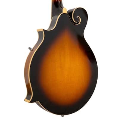 Gold Tone GM-35: F-Style Mandolin with Case image 20