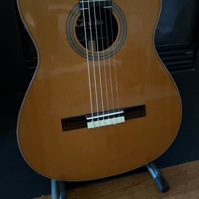 Cordoba Fusion Orchestra 12 Cutaway Nylon String 2026 - Glossy Solid Cedar Top, Rosewood Sides and Back image 3